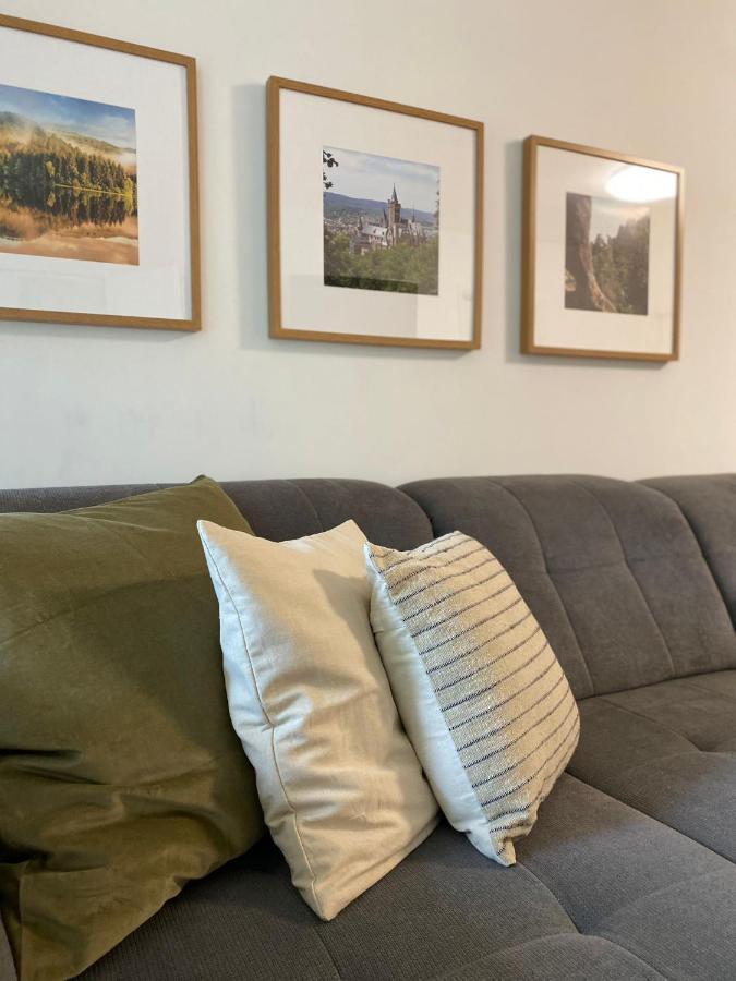 Ferienwohnung Braunlage-Harz Schwimmbad-Sauna, Wlan, Parkplatz Eksteriør billede